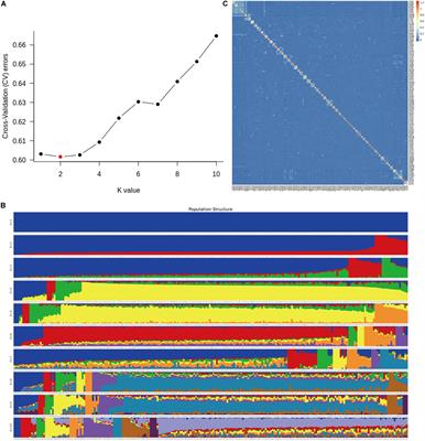 Genome-Wide Association Study of Body Weights in Hu Sheep and Population Verification of Related Single-Nucleotide Polymorphisms